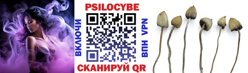Псилоцибиновые грибы Magic Shrooms Новая Ладога