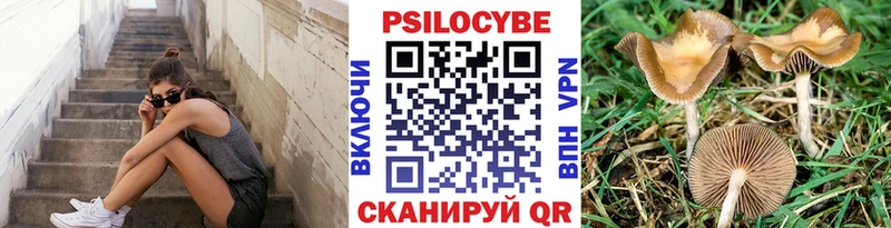 Галлюциногенные грибы MAGIC MUSHROOMS  Новая Ладога 